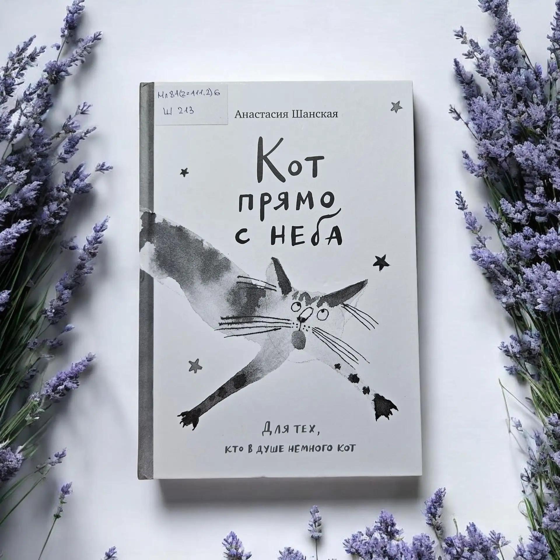Обложка Классная книжка. Анастасия Шанская «Кот прямо с неба»