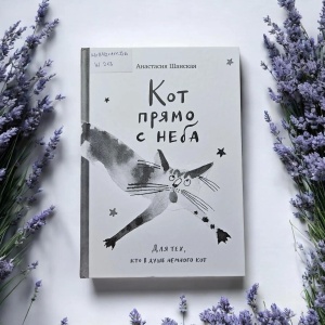 Классная книжка. Анастасия Шанская «Кот прямо с неба»