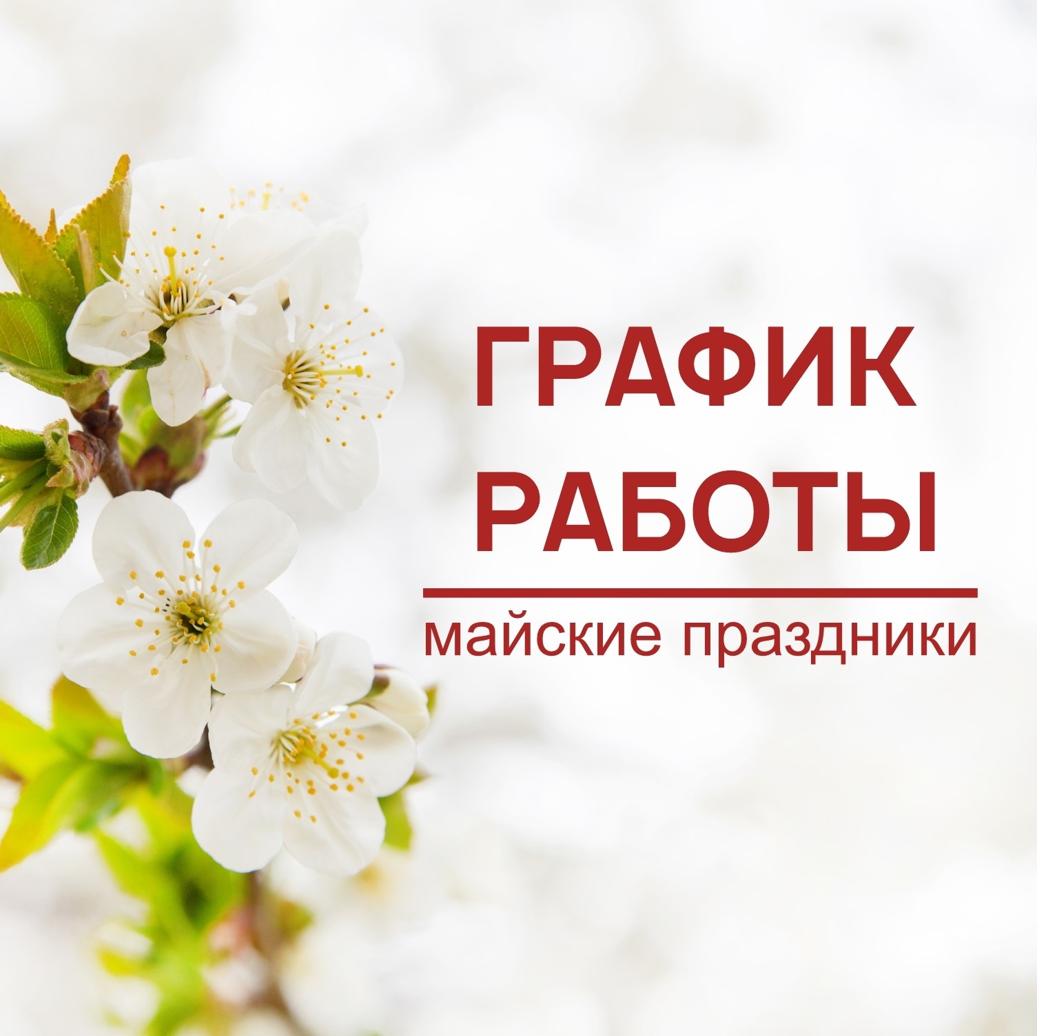 График работы библиотек в майские праздники